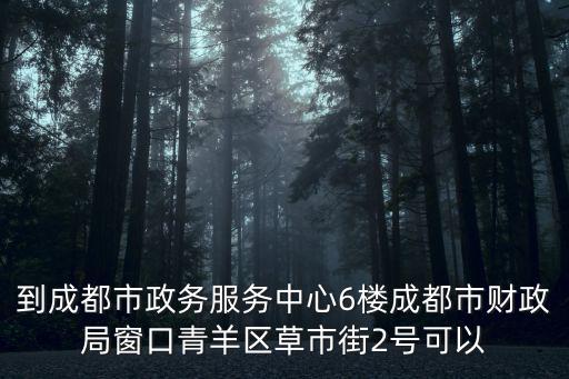 到成都市政務(wù)服務(wù)中心6樓成都市財政局窗口青羊區(qū)草市街2號可以