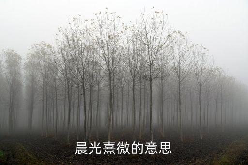 晨光熹微的意思，晨光熹微的意思