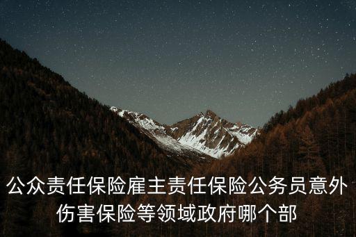 公眾責任保險雇主責任保險公務員意外傷害保險等領域政府哪個部