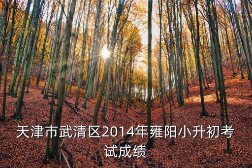 天津市武清區2014年雍陽小升初考試成績