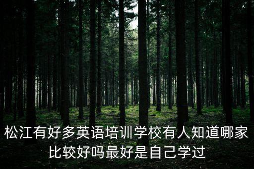 松江有好多英語培訓(xùn)學(xué)校有人知道哪家比較好嗎最好是自己學(xué)過
