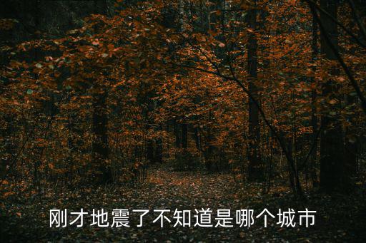 剛才地震了不知道是哪個(gè)城市