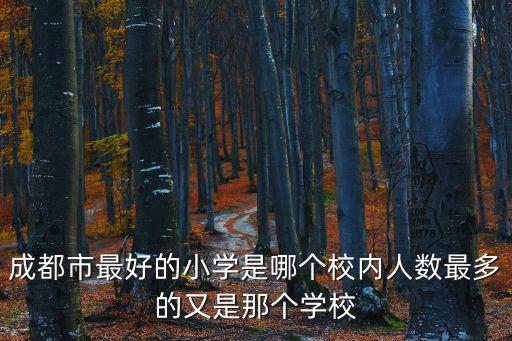 成都市孩子最多的小學，馬上開學報名了想給孩子在成都找一個重點小學有沒有好的推薦