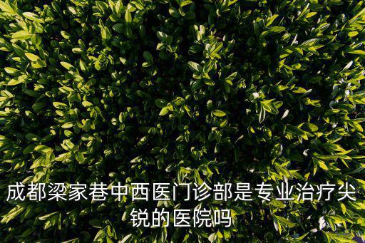 成都梁家巷中西醫門診部是專業治療尖銳的醫院嗎