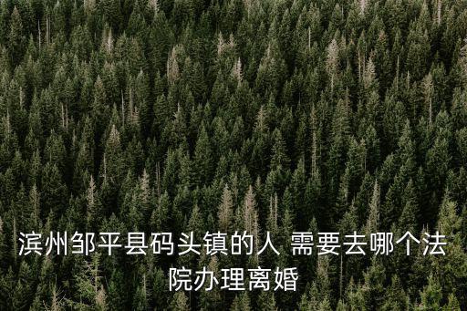 濱州鄒平縣碼頭鎮的人 需要去哪個法院辦理離婚
