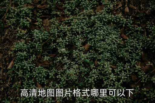 浦東地圖高清大圖 高清晰，求此圖的高清大圖