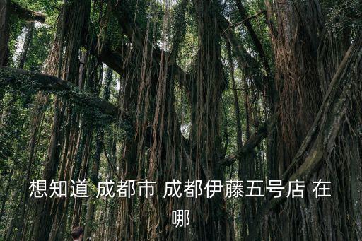 想知道 成都市 成都伊藤五號(hào)店 在哪