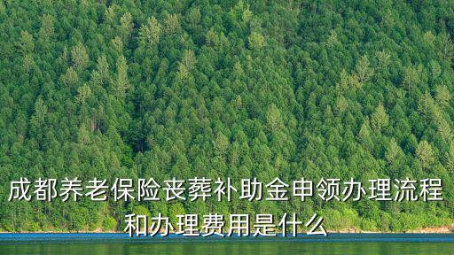 成都養(yǎng)老保險(xiǎn)喪葬補(bǔ)助金申領(lǐng)辦理流程和辦理費(fèi)用是什么