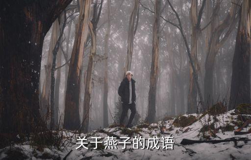 關于燕子的成語