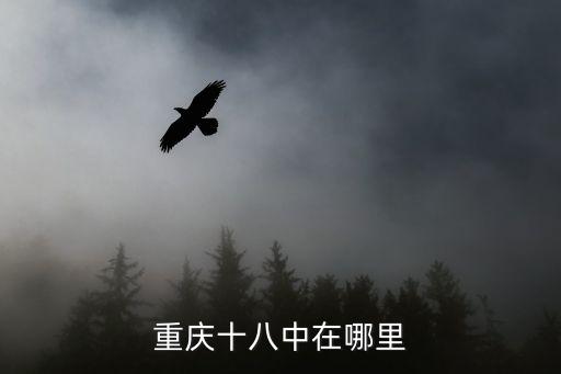 重慶市第十八中學(xué)初三年級合影，重慶十八中在哪里
