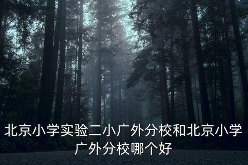 北京小學廣外分校怎么樣，北京小學實驗二小廣外分校和北京小學廣外分校哪個好
