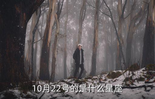 10月22日是什么星座，10月22號是什么星座
