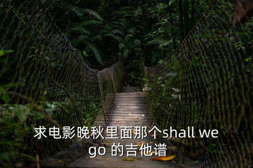 求電影晚秋里面那個shall we go 的吉他譜