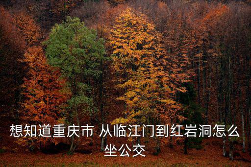 重慶市穿巖洞，重慶市牛石嵌在什么地方