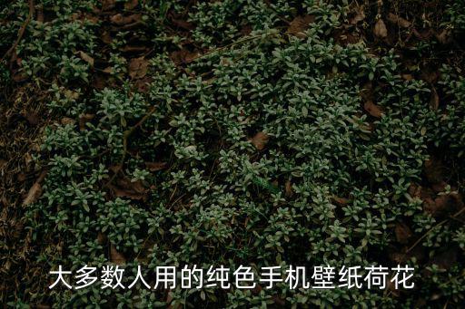 大多數人用的純色手機壁紙荷花