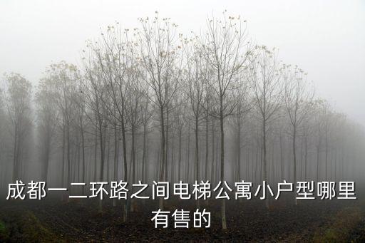 成都一二環(huán)路之間電梯公寓小戶型哪里有售的