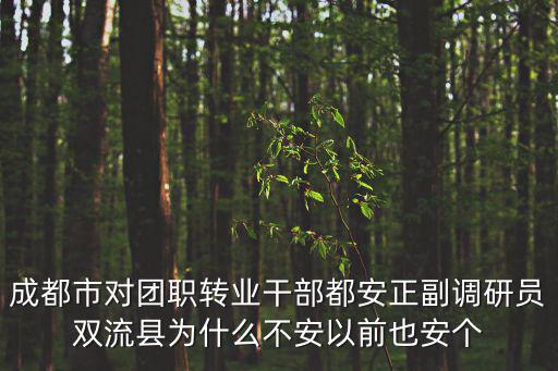 成都市對團職轉業干部都安正副調研員雙流縣為什么不安以前也安個