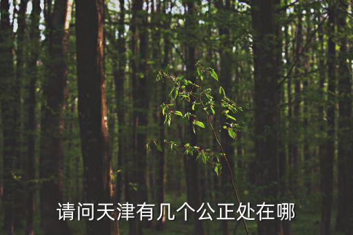 請問天津有幾個公正處在哪