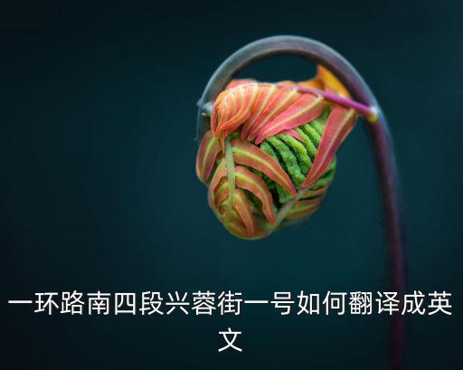成都市興蓉街1號(hào)，請(qǐng)問成都市肖家河附近哪里可以郵寄包裹的郵局