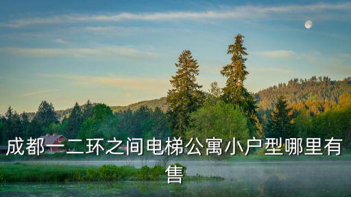 成都市類住宅公寓出售信息，成都一二環(huán)路之間電梯公寓小戶型哪里有售的