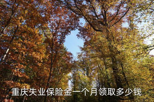 重慶失業(yè)保險(xiǎn)金一個(gè)月領(lǐng)取多少錢