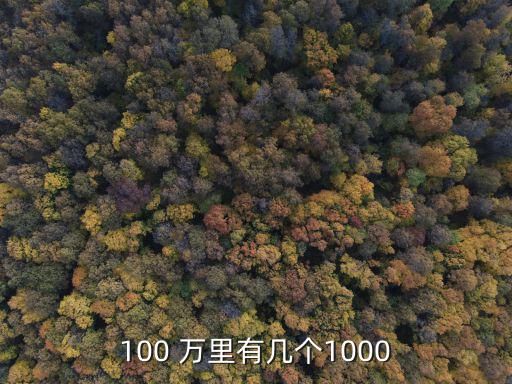 100 萬里有幾個1000