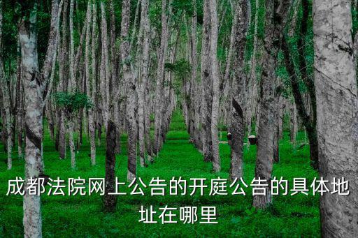 成都法院網上公告的開庭公告的具體地址在哪里