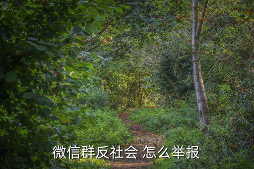微信群反社會 怎么舉報