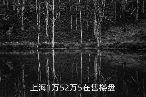 上海新房樓盤在售樓盤市區，上海最近靠近市區哪里有新樓盤