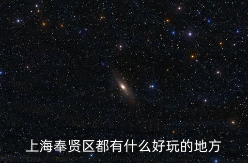 上海奉賢區都有什么好玩的地方