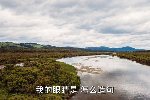 我的眼睛是 怎么造句