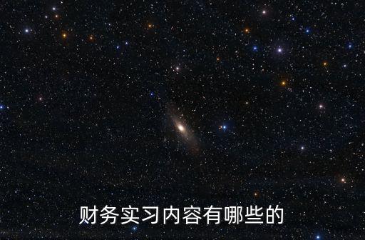 財(cái)務(wù)實(shí)習(xí)內(nèi)容有哪些的