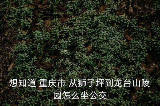 想知道 重慶市 從獅子坪到龍臺山陵園怎么坐公交
