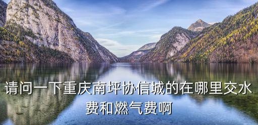 請問一下重慶南坪協信城的在哪里交水費和燃氣費啊