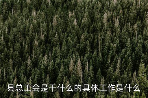 縣總工會是干什么的具體工作是什么