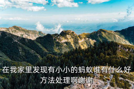 在我家里發現有小小的螞蟻誰有什么好方法處理啊謝謝