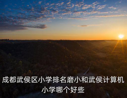 成都武侯區小學排名磨小和武侯計算機小學哪個好些