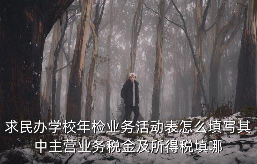 求民辦學校年檢業務活動表怎么填寫其中主營業務稅金及所得稅填哪