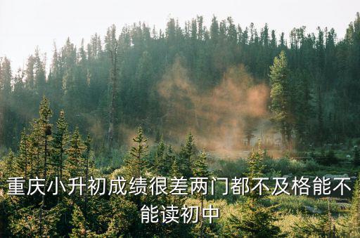 重慶小升初成績很差兩門都不及格能不能讀初中