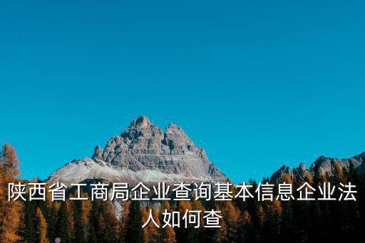 陜西省企業登記網絡服務平臺，怎么查詢陜西省企業注冊信息