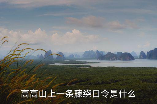 高高山上一條藤繞口令是什么