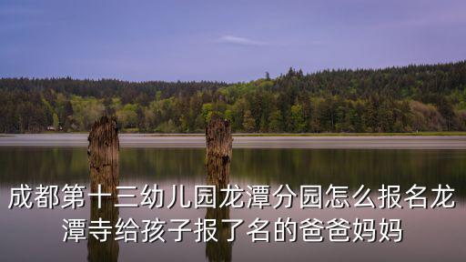 成都第十三幼兒園龍潭分園怎么報名龍潭寺給孩子報了名的爸爸媽媽