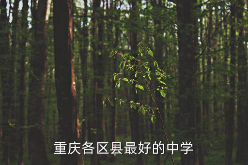 重慶各區(qū)縣最好的中學(xué)