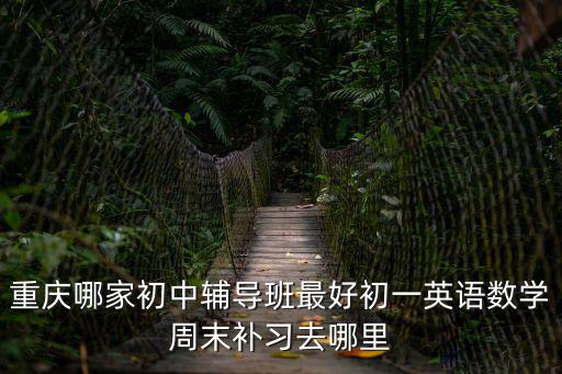 重慶哪家初中輔導班最好初一英語數(shù)學周末補習去哪里