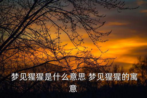  夢見猩猩是什么意思 夢見猩猩的寓意