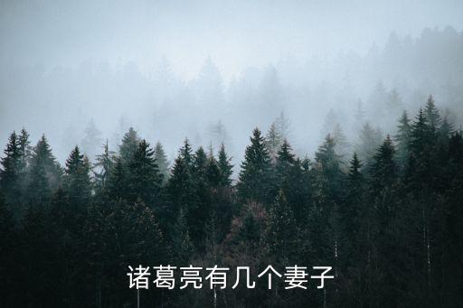 諸葛亮有幾個妻子
