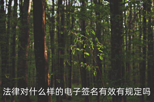 企業登記電子簽名有效嗎，公司法人代表的電子簽名具有法律效力嗎
