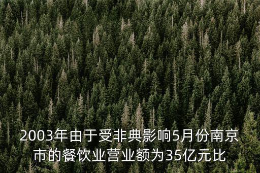2003年由于受非典影響5月份南京市的餐飲業營業額為35億元比