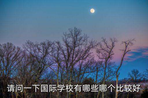 請問一下國際學(xué)校有哪些哪個比較好