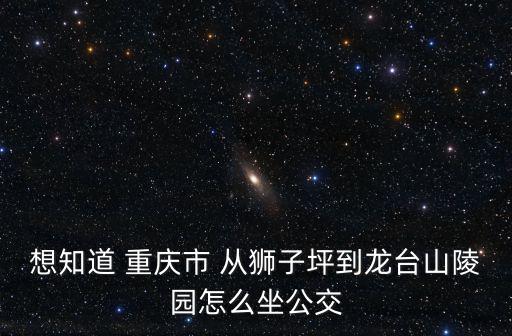 重慶市龍臺(tái)山，想知道 重慶市 從獅子坪到龍臺(tái)山陵園怎么坐公交